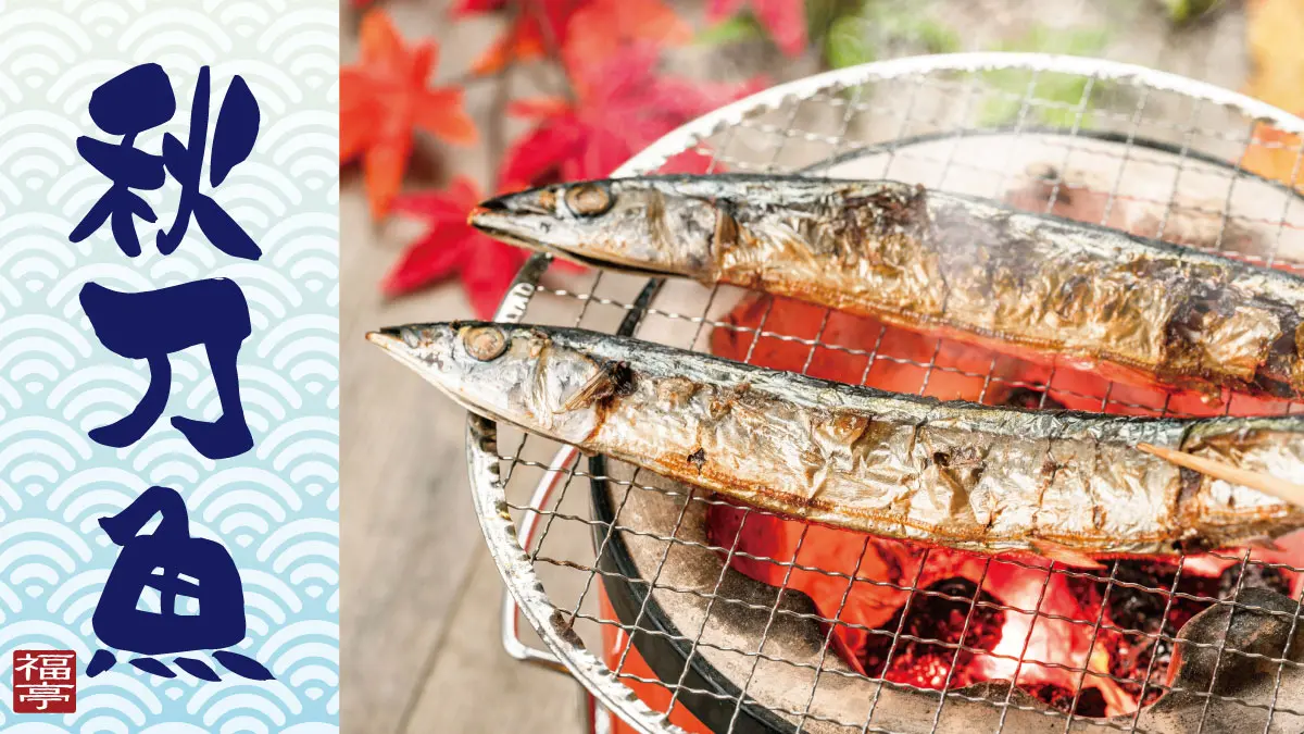 期間・数量限定！今が旬の秋刀魚入荷しました！